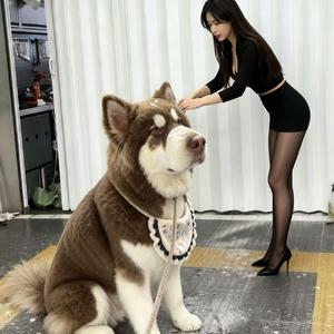 吃得饱