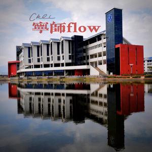 宁师flow