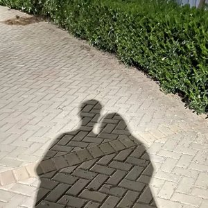 四月八日（Prod EVOSIC）