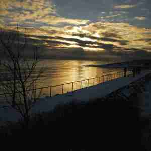 鹤唳华亭 (排箫曲)