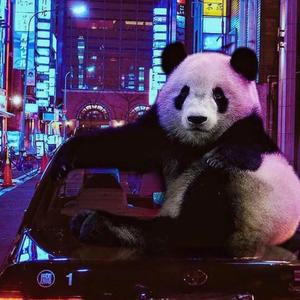 【FREE】“心 潮 涌 动”