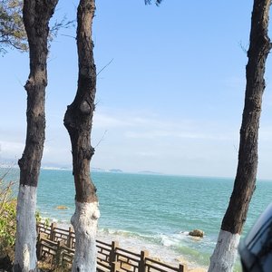 小小