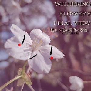 Withering Flower’s Final View 「枯れる花の最後の景色」