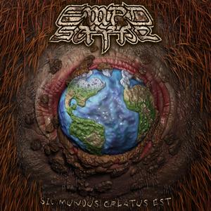 A Curious Case of Rectal Ejaculation