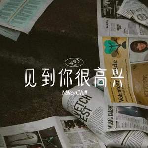 见到你很高兴
