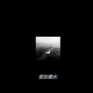 爱如潮水remix(1.2X)
