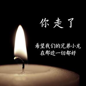 你走了