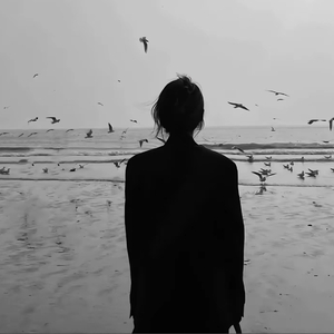 我的城市没有你