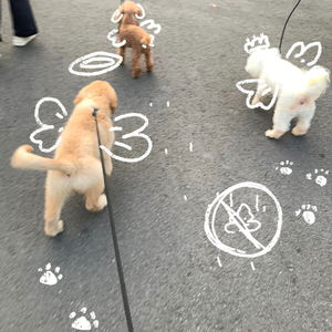 泪桥