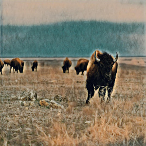 Pituita Ophthalmitis