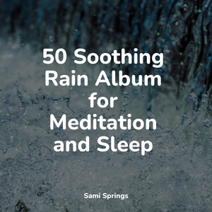 Seagulls on the Beach (Relaxing Ocean Waves)