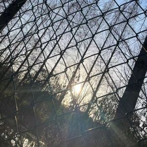 聚魂棺Prod.Lakewavebeatz