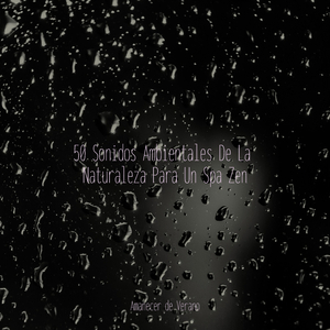 Brasas de Apreciación