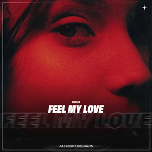 Feel My Love