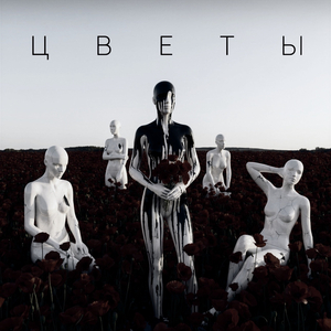 Цветы (Acoustic Version)