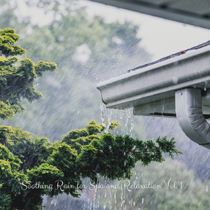 Let Go of Stress with Peaceful Rain