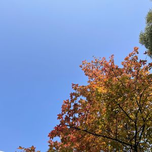 然后（prod by undislove）