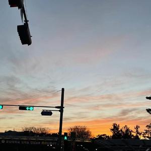 心碎莫扎特 - 晨山的杉