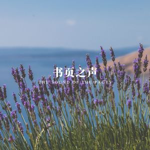 夜读轻音 (治愈纯音乐)
