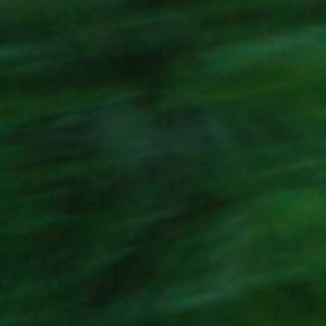 爱的意难平.wav