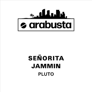 Señorita (Radio Mix)