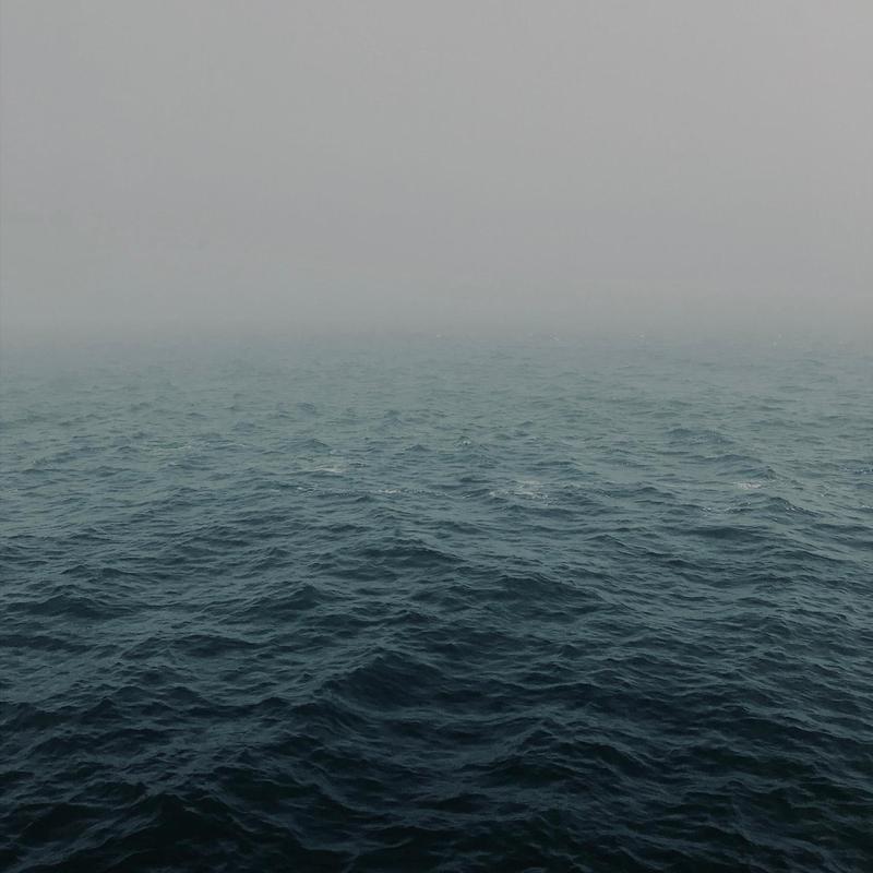 Moss(Ocean)封面