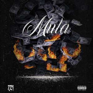 Mula