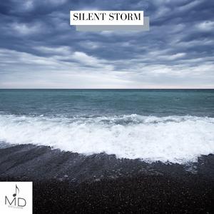 Silent Storm