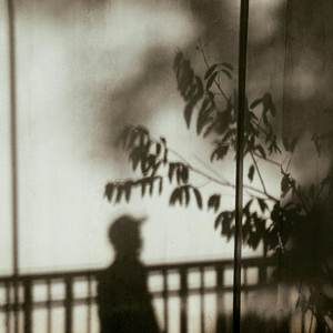 Summer Shadow