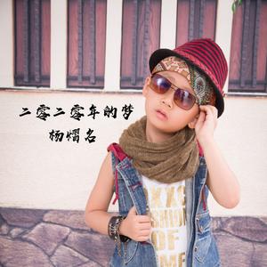 二零二零年的梦