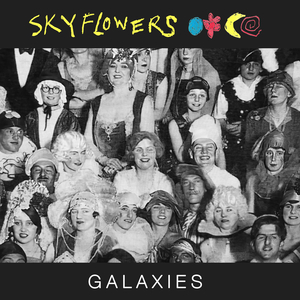 Galaxies