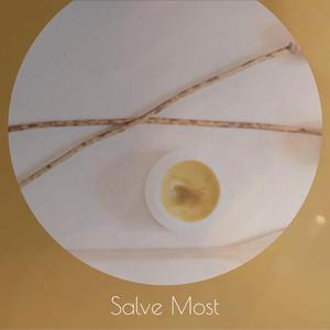Salve Most