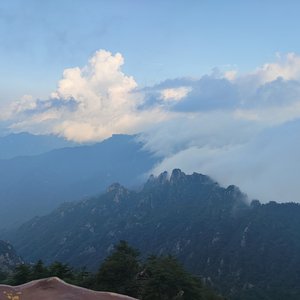 思念