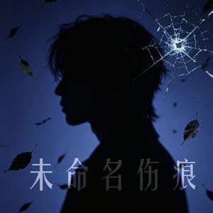未命名伤痕