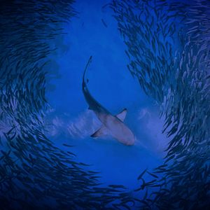 Kurtuluşa Yok (Tek Başına)