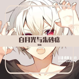 白月光-白月光与朱砂痣（ZENG欢 remix）