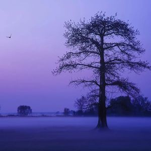 一笔画情 (舒缓空灵声)