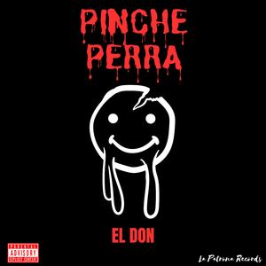 Pinche Perra