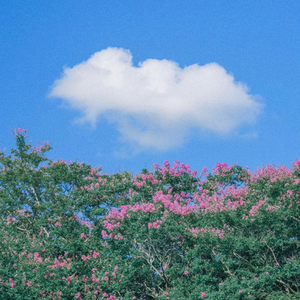 （FREE）“ a love letter ”POP吉他- Type beat