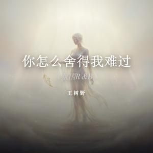 你怎么舍得我难过