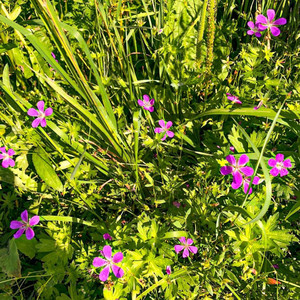 Ты - Мои откровения