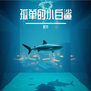 孤单的小白鲨
