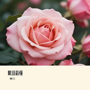 眼泪最懂（Cover 六哲）