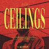 Sean Rose - Ceilings