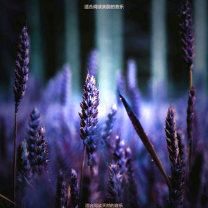 适合研读甜美的音乐
