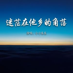 迷茫在他乡的角落