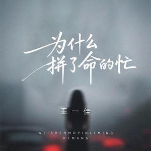 为什么拼了命的忙