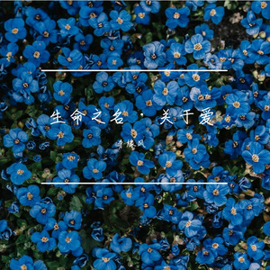 小雨同学（纯享版）