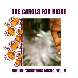 Wash Away the Loneliness with Birdsong