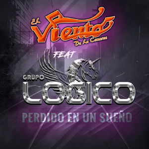 Paginas Sociales (Flash Órgano) [feat. Grupo Logico]